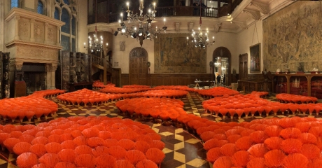 Gaspar Libedinsky | El origen de las especies | Instalación, 2020 | Fotografía de Gaspar Libedinsky