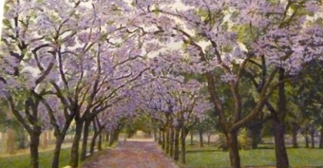 Jacarandaes en Palermo - Helga Uhlemann - 2013
